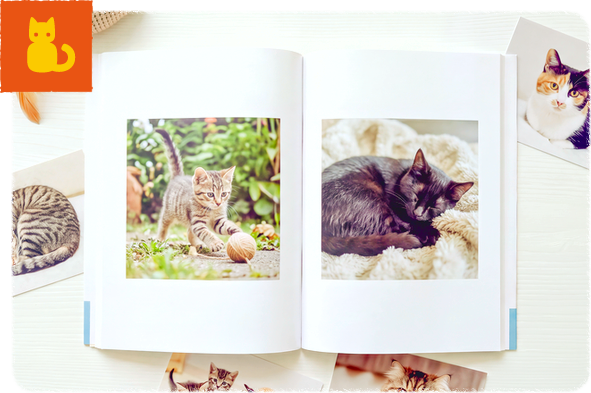 愛猫の写真で作ったライトブック