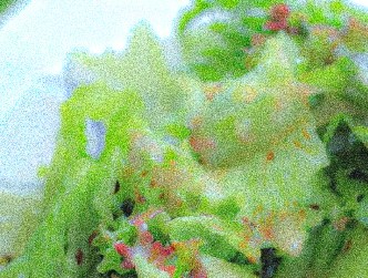 従来の即日仕上げ（印刷タイプ）の粗い写真仕上がり例